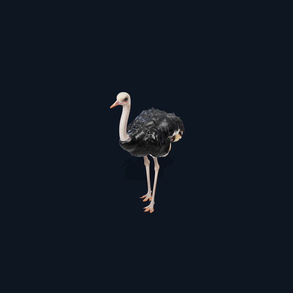 Ostrich Model Pack with Detailed Feather Texture